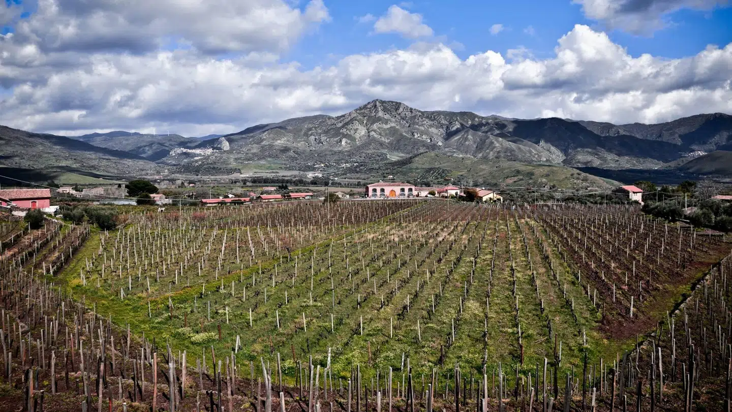 Ejendommen Terre Nere foran Etna. Foto: Giuseppe Famiani