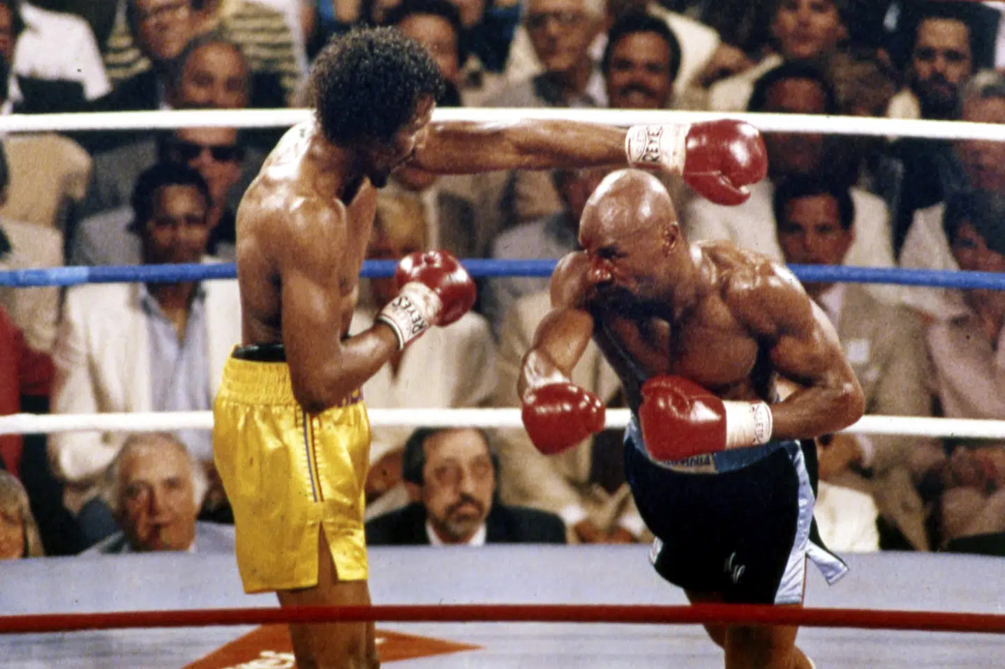 I april 1985 knockoutede Marvelous Marvin Hagler (til højre) Thomas The Hitman Hearns i tredje runde af en hæsblæsende titelkamp i Las Vegas. (Arkivfoto) Uncredited/Ritzau Scanpix