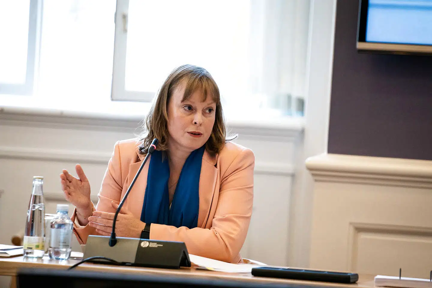 »Vi skal sætte ind over for hærværk, og det skal vi også i dette tilfælde. Ligesom vi skal beskytte kunsten fra politisk indblanding, skal vi også beskytte den fra strømninger, der forsøger at begrænse den. Mit formål er at lade kunsten folde sig ud, men ikke så den ødelægger eksisterende kunst,« siger kulturminister Joy Mogensen (S).