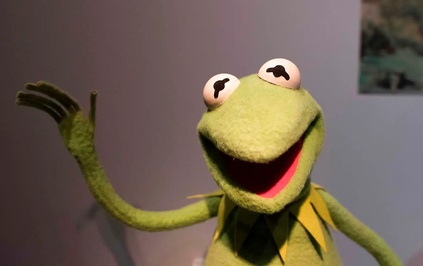Frøen Kermit var hovedpersonen i »The Muppet Show«, der altså nu bliver deklareret med en advarselstekst.