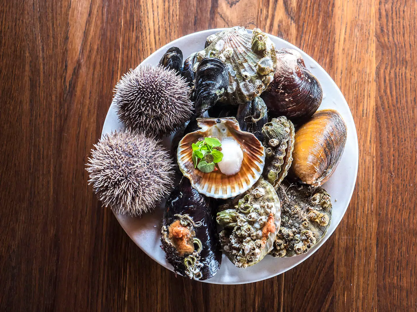 Restaurant KOKS på Færøerne er blevet verdenskendt – og har fået to Michelin-stjerner. Nu kan man efter planen snart få en smag af restauranten i Tivoli.