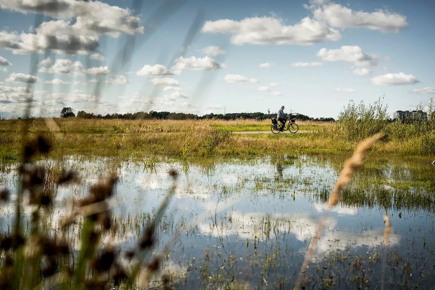 »Skal man forstå venstrefløjens hamskifte fra fokus på social nød til brombærkrat, skal man se det som strategisk og meget bevidst - forårsaget af den dramatiske udskiftning af befolkningen, som er sket i København,« skriver Bent Winther.