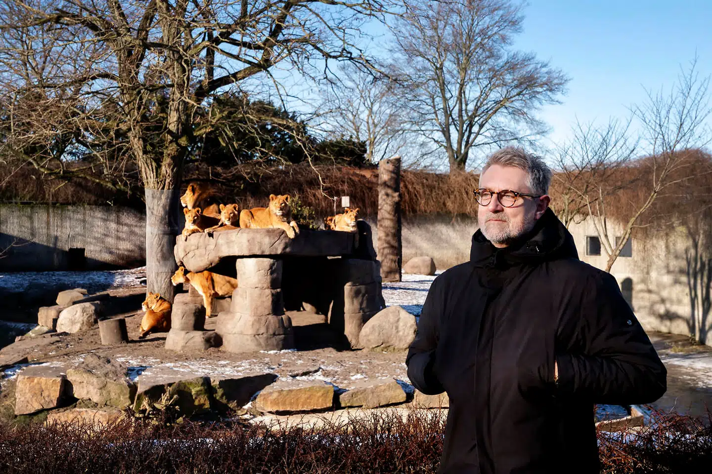 25 dinosaurer er på vej til Zoologisk Have i København, og det ikoniske Zootårn er i gang med en omfattende renovering, som blandt andet skal give en bedre og mere lærerig oplevelse, når man nyder udsigten. Det er to af de tiltag, der skal få Zoo ud af coronakrisen. Her er det Zoos direktør Jørgen Nielsen.