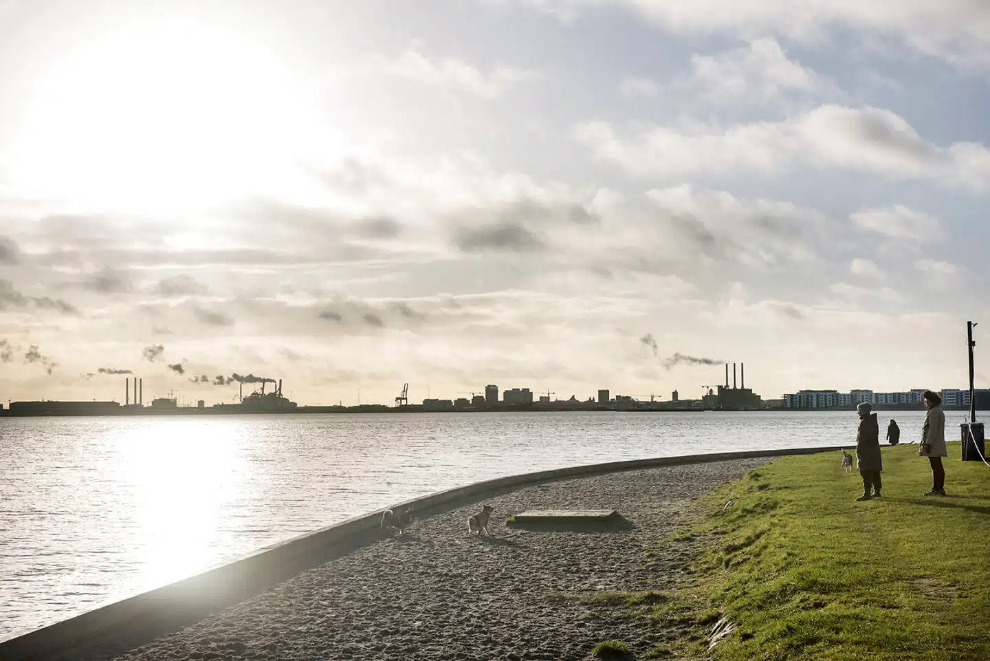 Det havde ikke haft en »mærkbar effekt« at udlede 290.000 kubikmeter spildevand i Øresund, konkluderer en delrapport i en ny samlet advokatundersøgelse, som Københavns Kommune har bestilt i kølvandet på den meget omtalte sag. Her ses Øresund fra kysten ved Charlottenlund nord for København, og i horisonten ses Nordhavn.