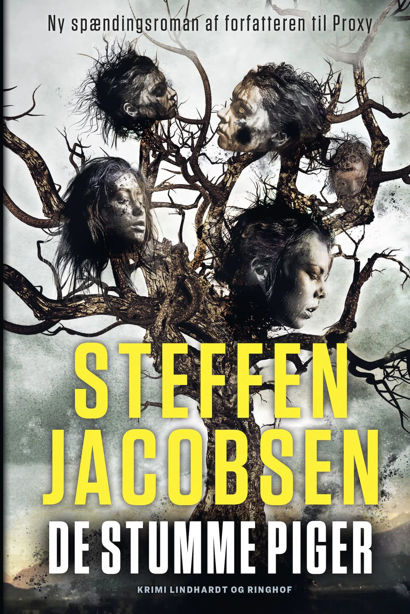 Bogomslag til »De stumme piger« af Steffen Jacobsen.