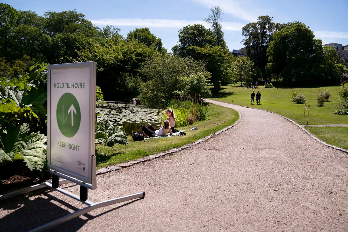 Der er håb forude med længere immunitet mod coronavirus samt udrulning af vacciner. Antallet af indlæggelser og dødsfald bør være faldet betydeligt til foråret, mener Trine Mogensen, som er professor på Biomedicinsk Institut ved Aarhus Universitet. Arkivfoto: Liselotte Sabroe/Ritzau Scanpix