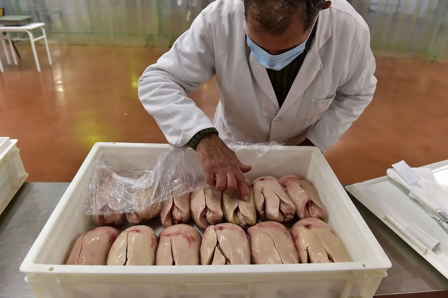 Kvaliteten af leveren fra opfedede foie gras-ænder tjekkes på det traditionelle fjerkræmarked i Samatan i det sydvestlige Frankrig.