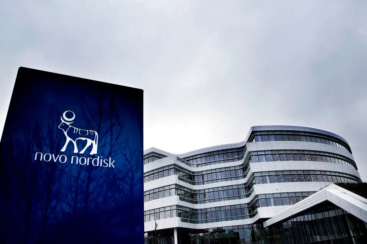 Mens driftsindtjeningen i mange af landets store virksomheder svinger meget fra år til år, har Novo Nordisks indtjening udviklet sig bemærkelsesværdigt stabilt.