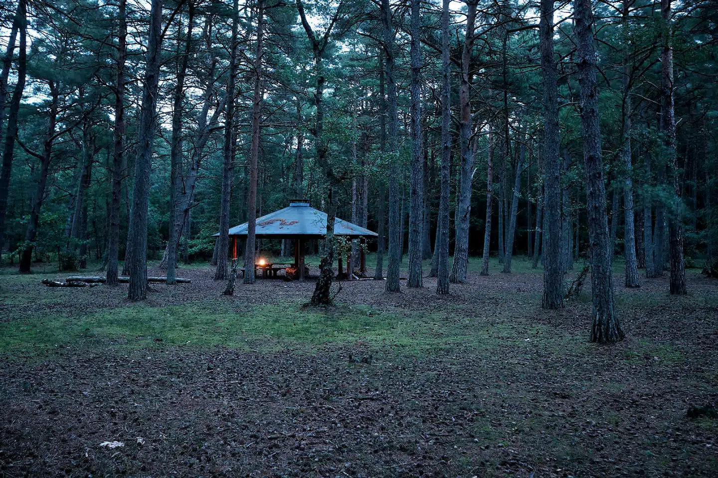 »Blandt mange udfordringer i forhold til racisme fylder særligt to meget i øjeblikket. Den ene er forestillingen om, at racisme ikke findes blandt venner og bekendte. Det er simpelthen ikke korrekt,« skriver Mira Chandhok Skadegård. Foto fra stedet på Bornholm, hvor to brødre dræbte en tredje person af dansk-afrikansk afstamning. Drabsmændene var venner med den dræbte, men både anklagemyndigheden og siden retten fandt ikke, at der var tale om et racistisk motiveret drab.