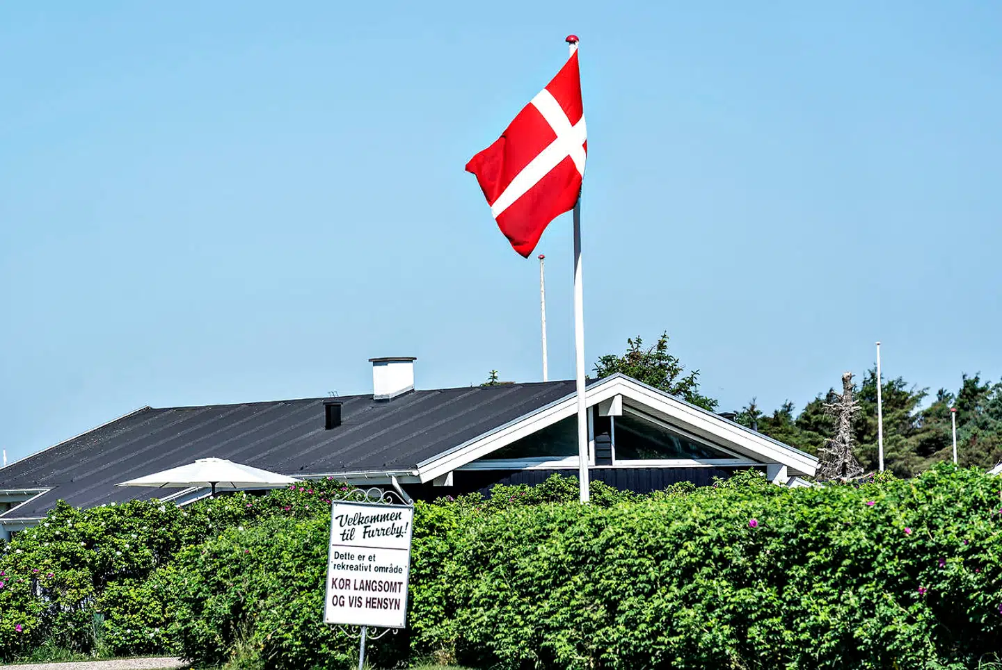 Pantone er et New Jersey-baseret firma, som er bedst kendt for at lave det farvesystem, som er standard i grafisk design, mode, produkter og trykkeri. Dannebrogs røde farve er eksempelvis 186C/032C. Hvert år siden 2000 har firmaet valgt en farve, som skal indkapsle det næste år, men i år har man valgt to afdæmpede farver.