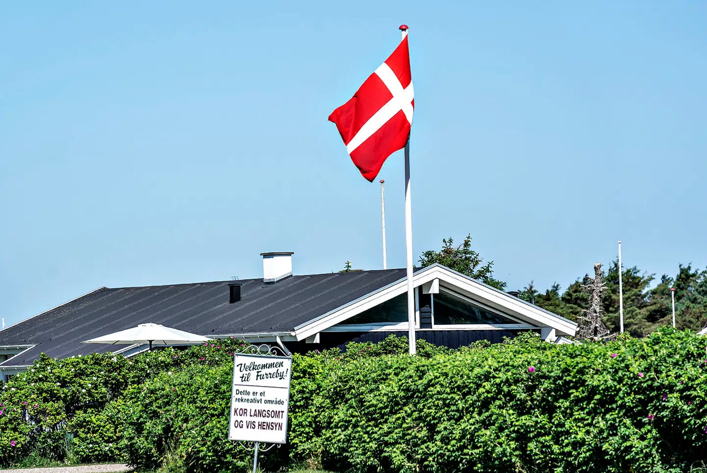 Pantone er et New Jersey-baseret firma, som er bedst kendt for at lave det farvesystem, som er standard i grafisk design, mode, produkter og trykkeri. Dannebrogs røde farve er eksempelvis 186C/032C. Hvert år siden 2000 har firmaet valgt en farve, som skal indkapsle det næste år, men i år har man valgt to afdæmpede farver.