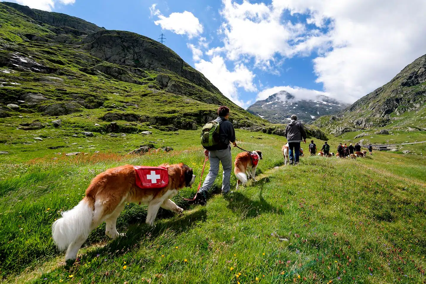 Schweiz er kendt for sine alper, hunde og favorable skatteforhold. Men nu stiller menneskerettighedsgruppe spørgsmålstegn ved, om der også er lidt for favorable forhold for kinesiske sikkerhedsagenter.