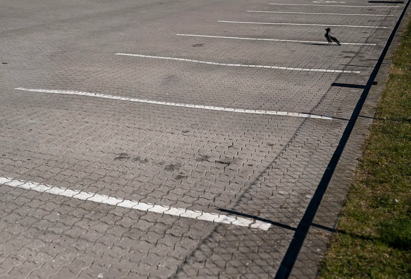 Parkeringspladserne har været tomme foran mange hoteller de seneste mange måneder. Især hovedstadsområdet har været hårdt ramt.