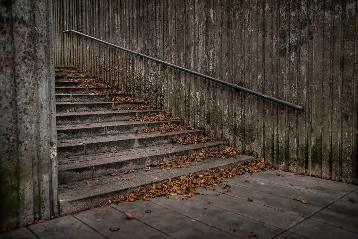 Efter et alvorligt overfald blev Arben smidt ud af skolen. Han var ikke egnet til at gå i en almindelig klasse.