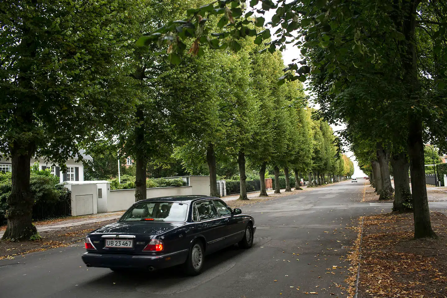 Hambros Allé i Hellerup. Arbejderbevægelsens Erhvervsråd mener, at De Konservatives foreslåede skattelettelser rammer »skævt«, da særligt Gentofte og andre nordsjællandske kommuner vil nyde godt af dem.