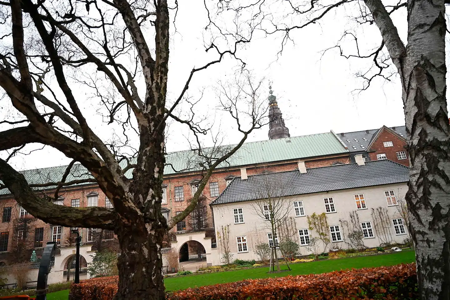 888 millioner kroner skal bruges til at forbedre biodiversiteten i Danmark mellem 2021 og 2024. (Arkivfoto)