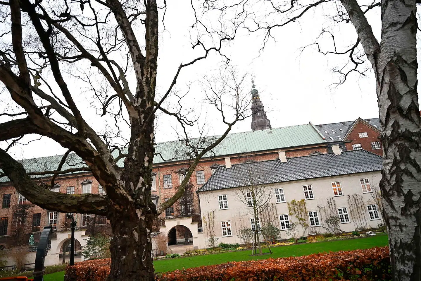 888 millioner kroner skal bruges til at forbedre biodiversiteten i Danmark mellem 2021 og 2024. (Arkivfoto)