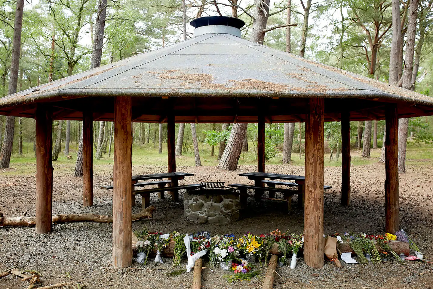 Arkivfoto: De to brødre er kendt skyldige i drabet i Nordskoven på Bornholm.
