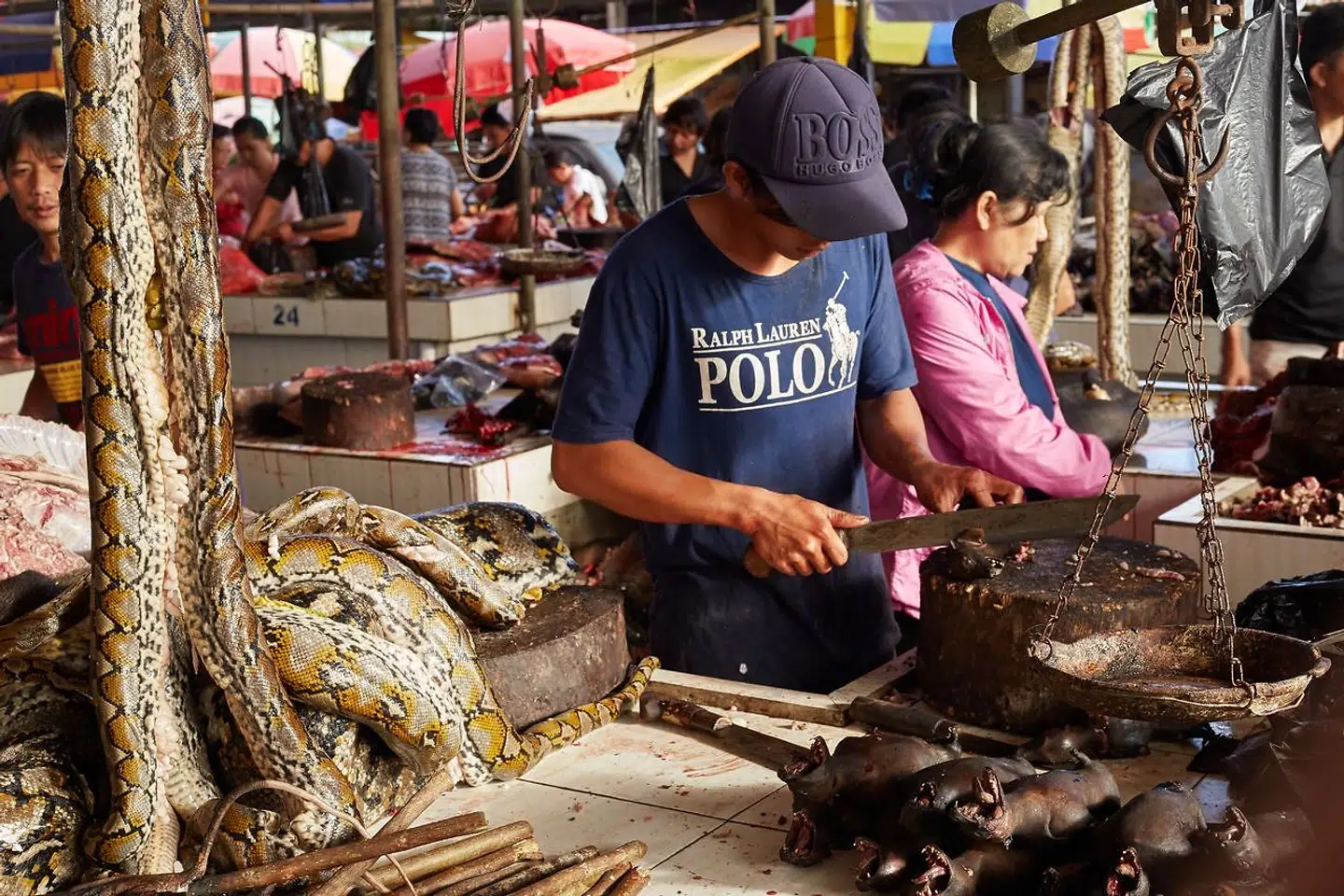 På et marked i Indonesien, kan man både købe rottehaler, flagermus og pythonslanger.
