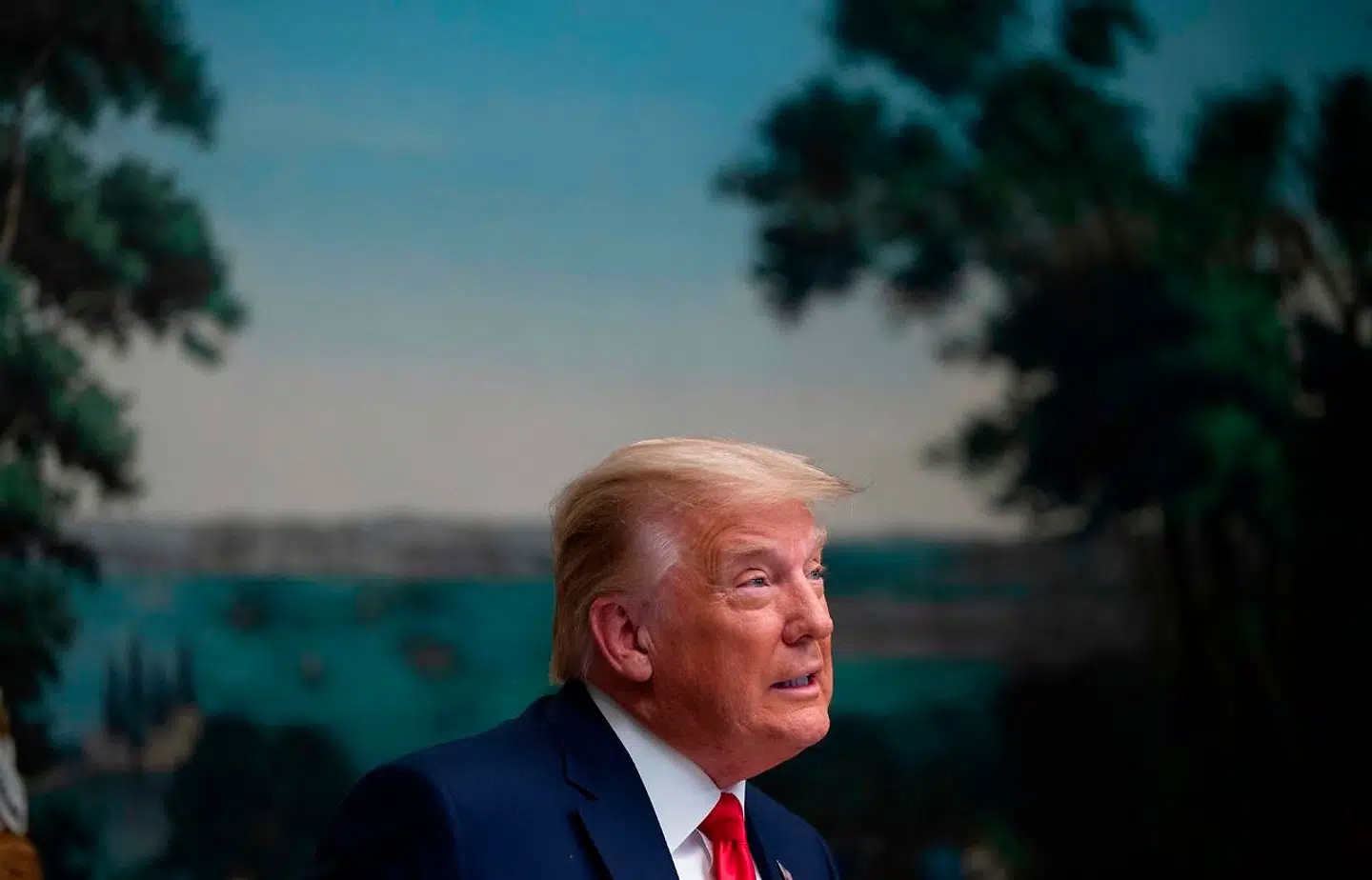 Donald Trump. (Photo by ANDREW CABALLERO-REYNOLDS / AFP)