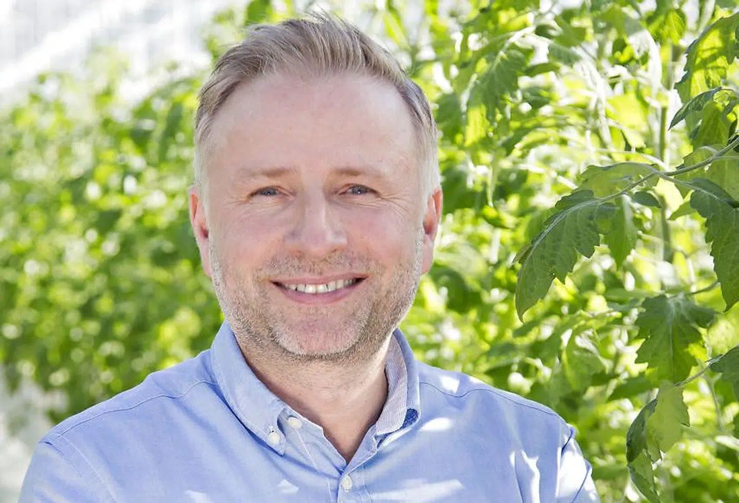Mads Pedersen fra gartneriet Alfred Pedersen & Søn så glad ud i sommer, men det er han ikke mere.