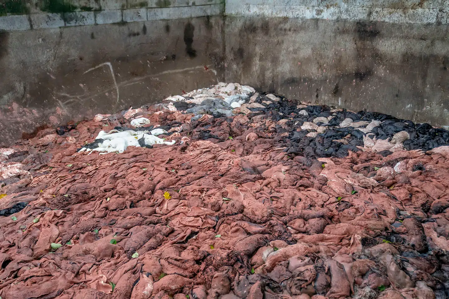 ARKIVFOTO. Miljøstyrelsen havde fastsat et afstandskrav på 300 meter, men dele af nedgravningerne ligger under 200 meter fra sø i Horsens.