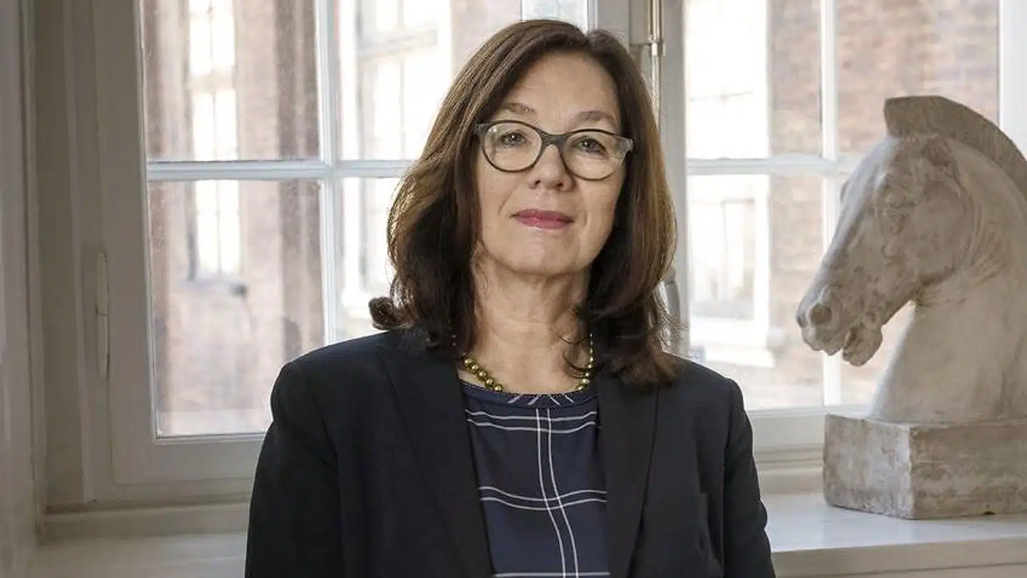 »Desværre synes rektor Langkilde snarere at være en del af problemet end af løsningen,« skriver Morten Messerschmidt (DF) om Kirsten Langkilde, rektor på Kunstakademiet.