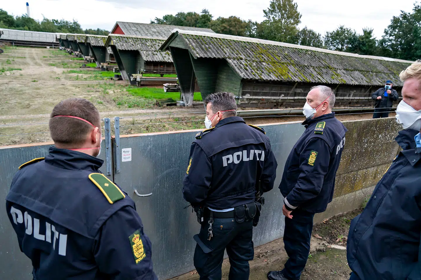 Politiet tiltvang sig fredag adgang til Thorbjørn Jepsens minkfarm på Drøvten i Gjøl, den 9. oktober 2020. En politimand med boltsaks åbnede den lukkede port under ejerens protest, her ses Thorbjørn Jepsen og politiet.. (Foto: Henning Bagger/Ritzau Scanpix)