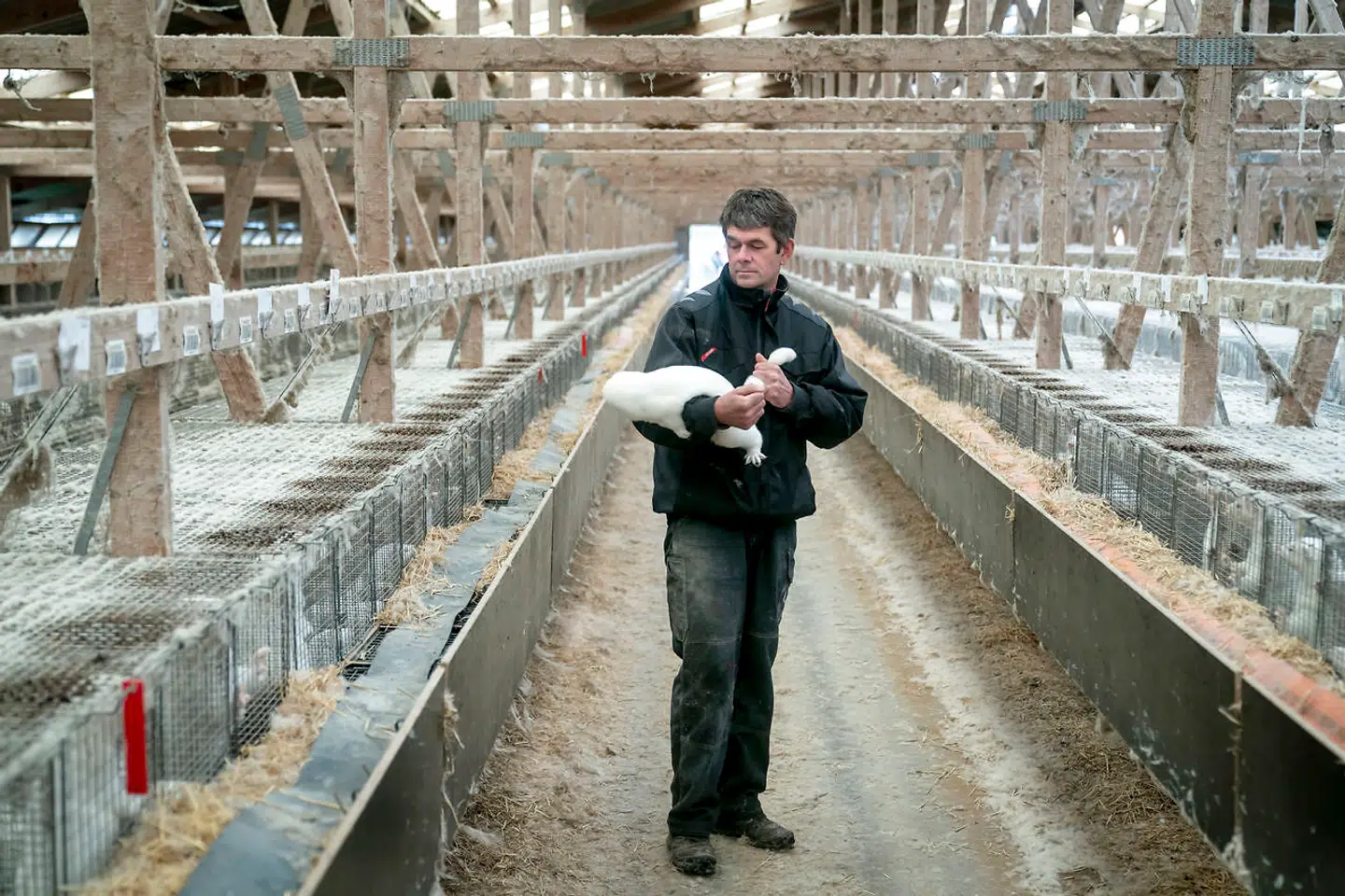 Ulrik Jensen skal aflive sine dyr senest mandag, men han tror ikke, at han når det i tide.