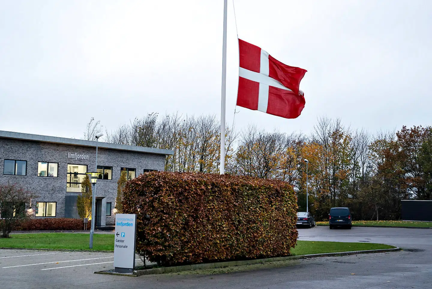 Det er ikke kun minkavlerne, der bliver hårdt ramt. Flaget er på halv stang ved Limfjordens Fodercentral i Støvring, torsdag den 5. november 2020. Virksomheden har leveret minkfoder til nordjyske minkfarme i 56 år og lukker nu og afskediger de 35 medarbejdere, som konsekvens af at regeringen har besluttet at slå alle danske mink ned.