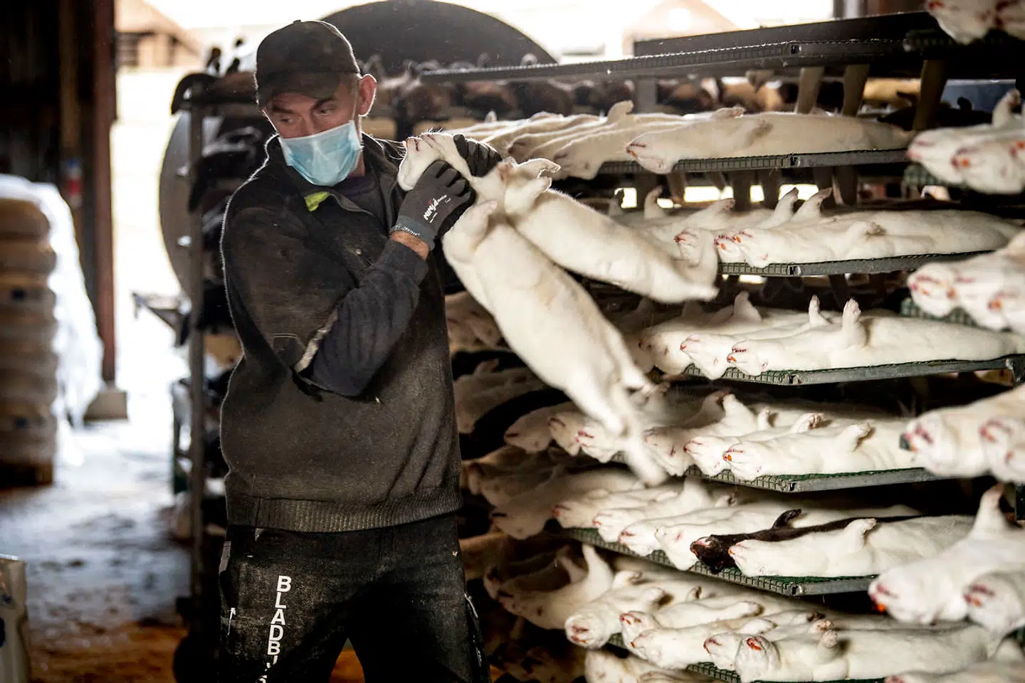 The spread of the new, mutated virus is »a serious risk to public health and to the development of a vaccine« said Mette Frederiksen. (Foto: Johan Gadegaard/Ritzau Scanpix)