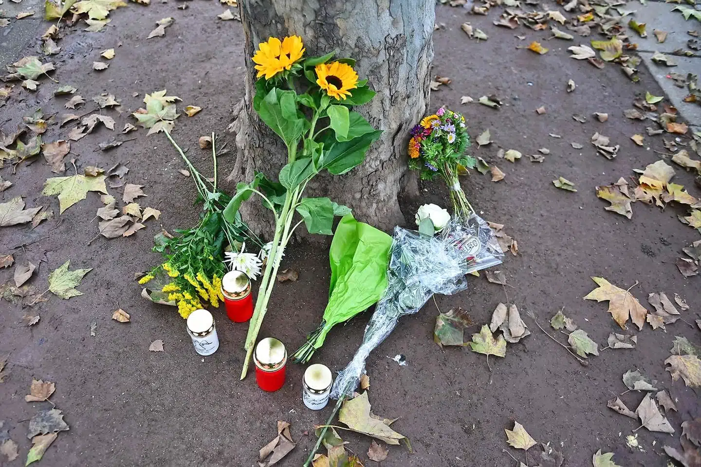 Tirsdag lagde østrigere blomster og satte lys for at mindes ofrene for mandagens terrorangreb i Wien.