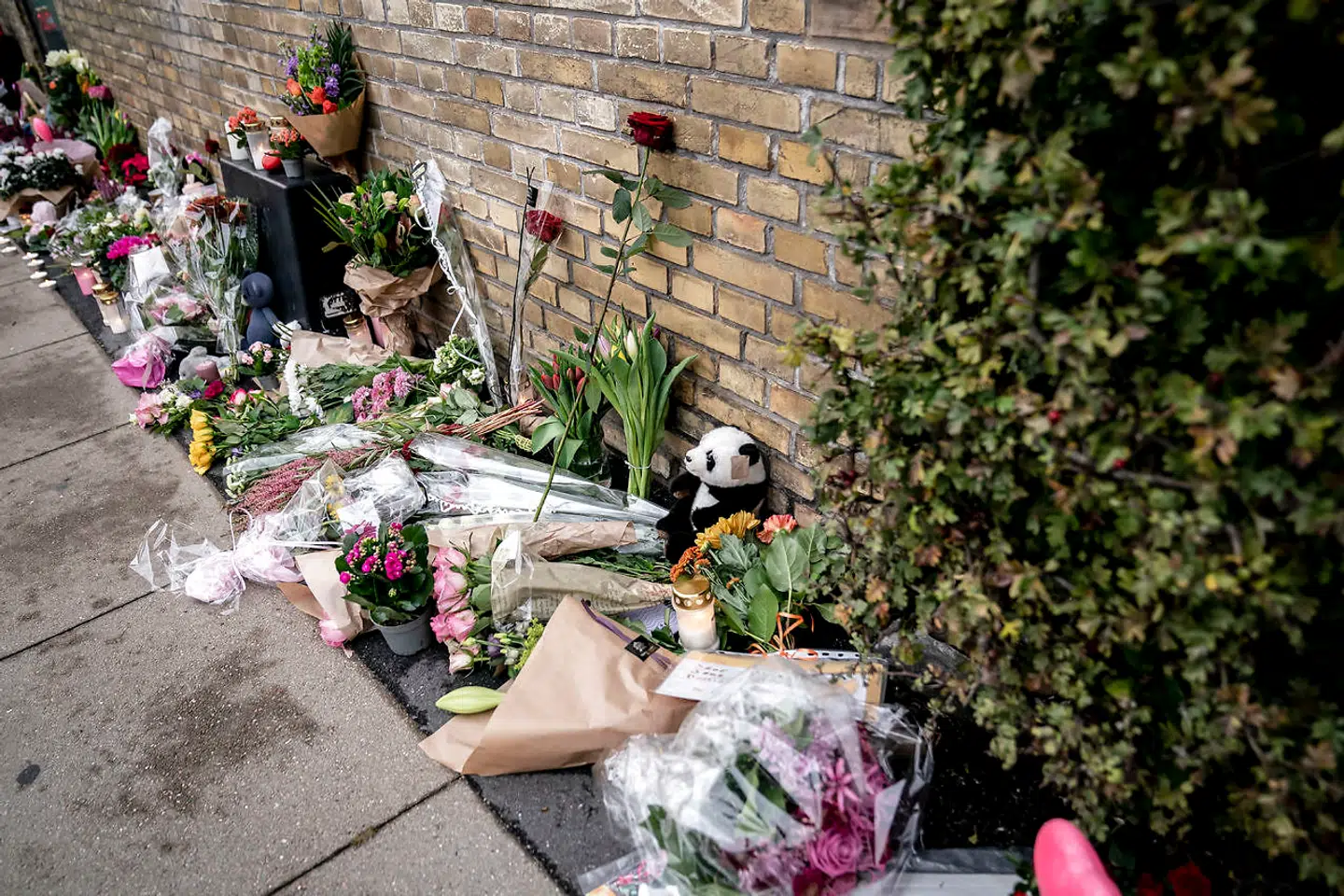 Folk lægger blomster og mindes den femårige pige, der mistede livet efter at være blevet ramt af en mandlig flugtbilist. Gerningsstedet bliver besøgt på Peter Bangs Vej på Frederiksberg torsdag den 29. oktober 2020.. (Foto: Mads Claus Rasmussen/Ritzau Scanpix)