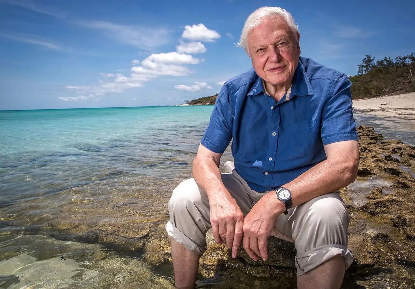 94-årige Sir David Attenborough har brugt størstedelen af sit lange liv på at formidle naturens underfundighed. I hans livs vinter advarer han nu om de potentielle katastrofer, der lurer lige om hjørnet, for vores klodes miljø. Arkivfoto.