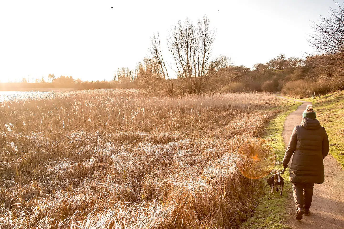 Arkivfoto. Danmark ligger faretruende nær bunden, når det gælder at bevare udsat natur og truede arter af dyr og planter. Det viser en ny rapport fra EU's Miljøagentur i København.