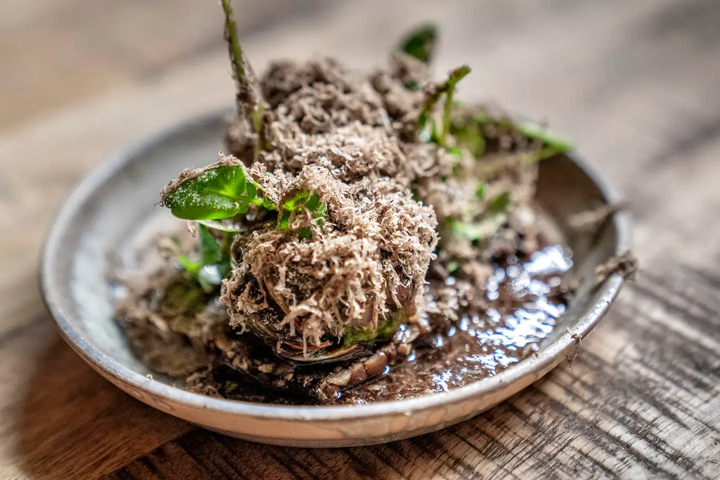Svinekæber i kåldolmer, toppet med trøffel.