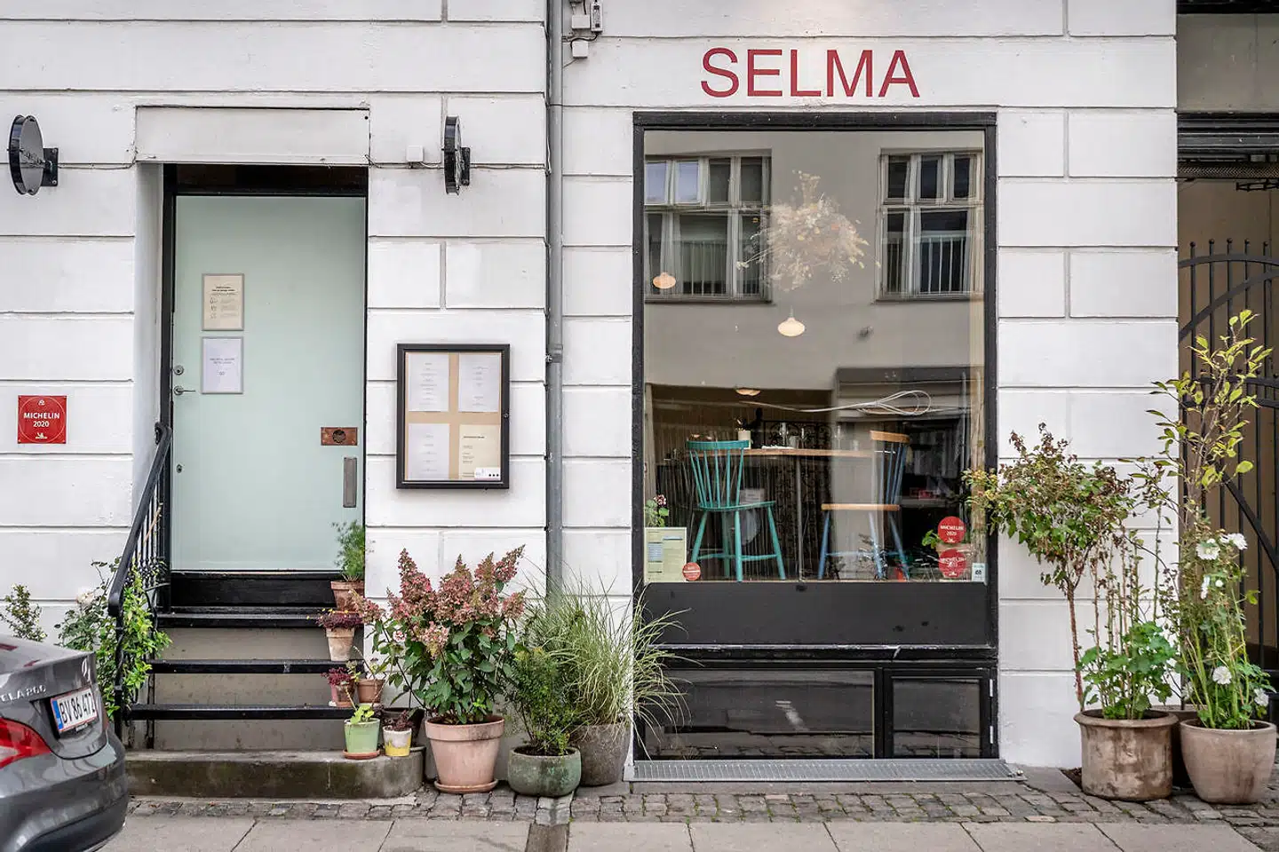 Selma ligger i en høj stue i Rømersgade i Københavns indre by.