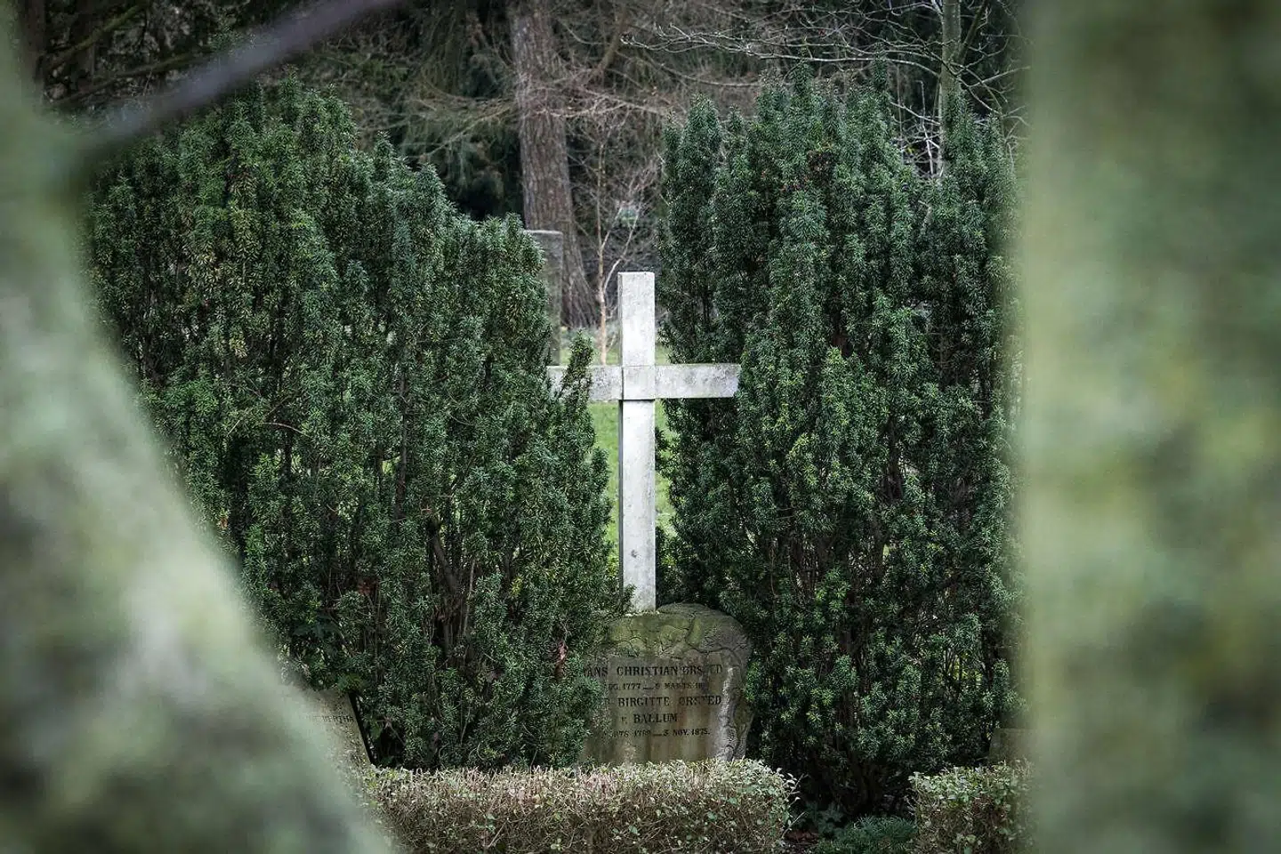 »På samme måde skal man på kristne skoler heller ikke afskrække unge mennesker fra at blive homoseksuelle eller transkønnede, hvis det er det, de kommer til at føle sig som. (...) Det bør såvel kristne som muslimske friskoler indordne sig under,« skriver Halime Oguz.