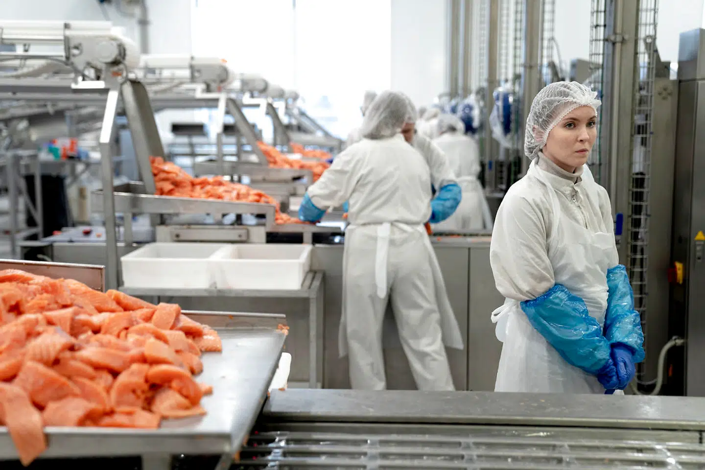 Færøerne bør frigøres fra afhængigheden af Rusland ved at indgå en frihandelsaftale med EU om blandt andet salg af laks. Lakseeksporten udgør cirka 50 procent af Færøernes samlede eksport.