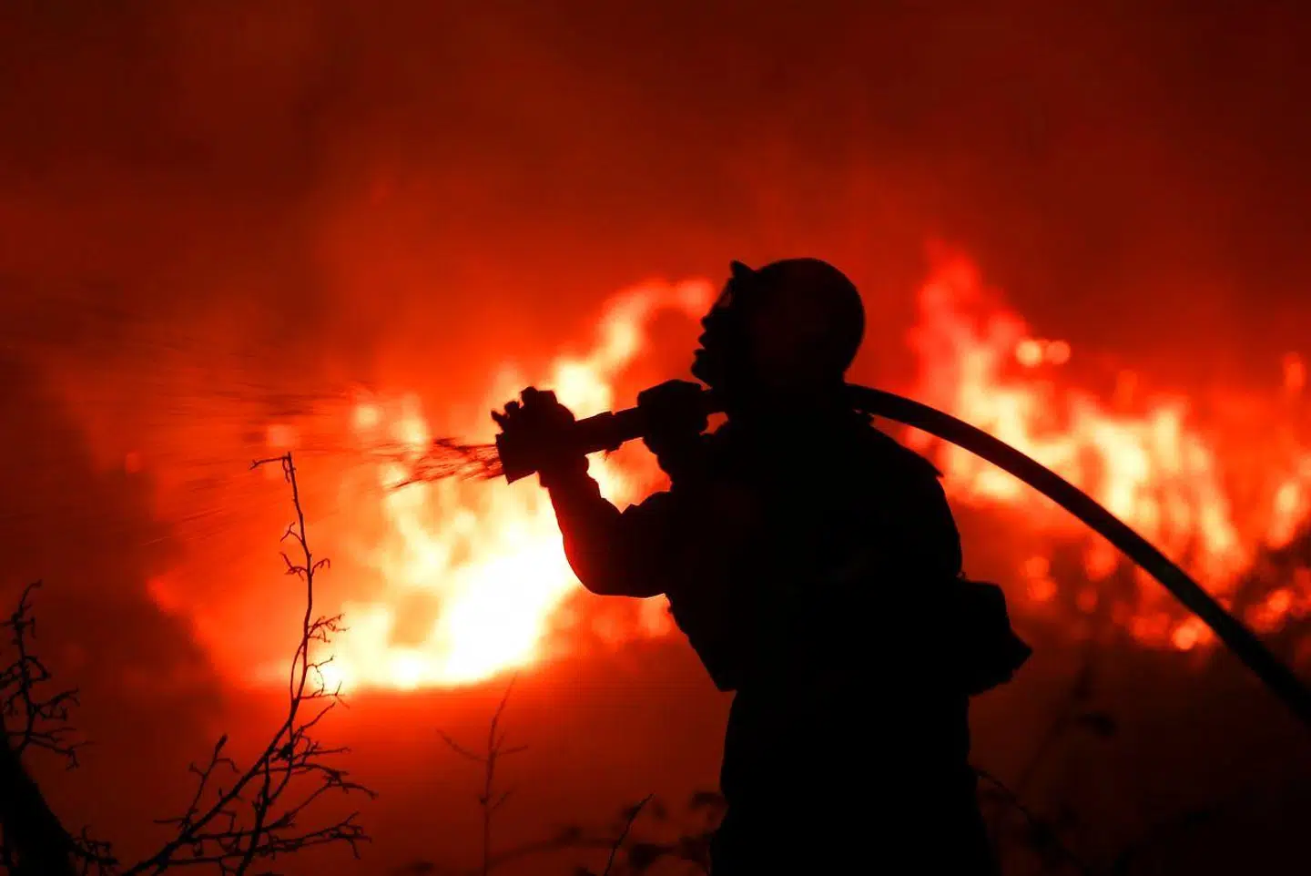 »Klimaet spiller en rolle, det skaber ganske rigtigt et mere gunstigt miljø for brandene ved at forværre varme og tørre forhold. (...) Det er meget vigtigere at se på, hvordan vi forvalter landet, og at vi bygger mange af vores nye huse, hvor der tit opstår brand,« skriver Bjørn Lomborg.