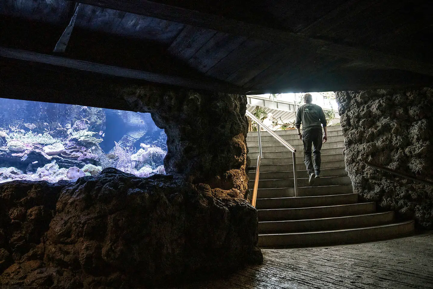 Asser Øllgaard og Brian Rasmussen sender ikke online undervisning længere i dag, men de arbejder på at få noget lignende op at stå igen.