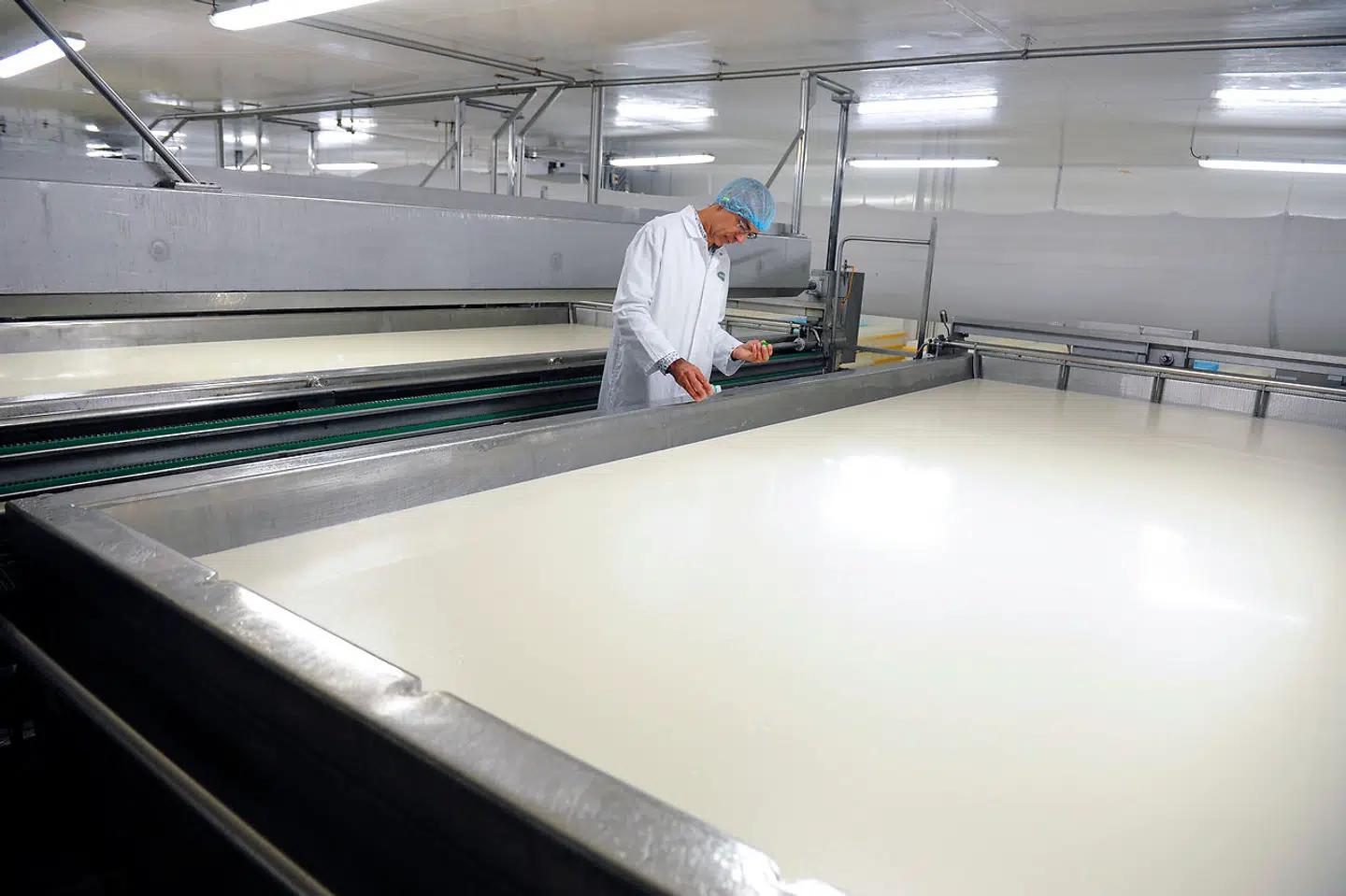 Produktionen af roquefort inkluderer tilsætning af bare 40 milliliter penicillium roqueforti til et kar på hele 5.000 liter fåremælk.