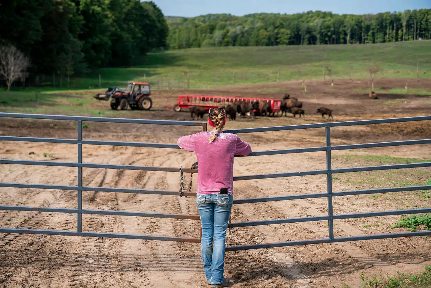 Carl Brasseurs datter lukker leddet ind til dyrene.