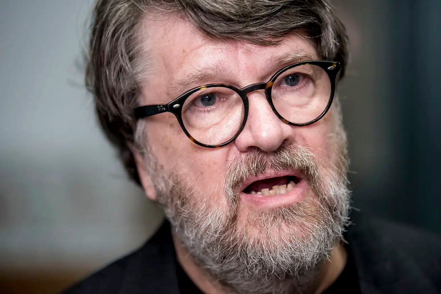 Tidligere formand for Klimarådet samt forhenværende økonomiske overvismand Peter Birch Sørensen mener, at Eldrup-kommissionens beregninger er skæve, fordi de bygger på en forældet antagelse om CO2-pris.