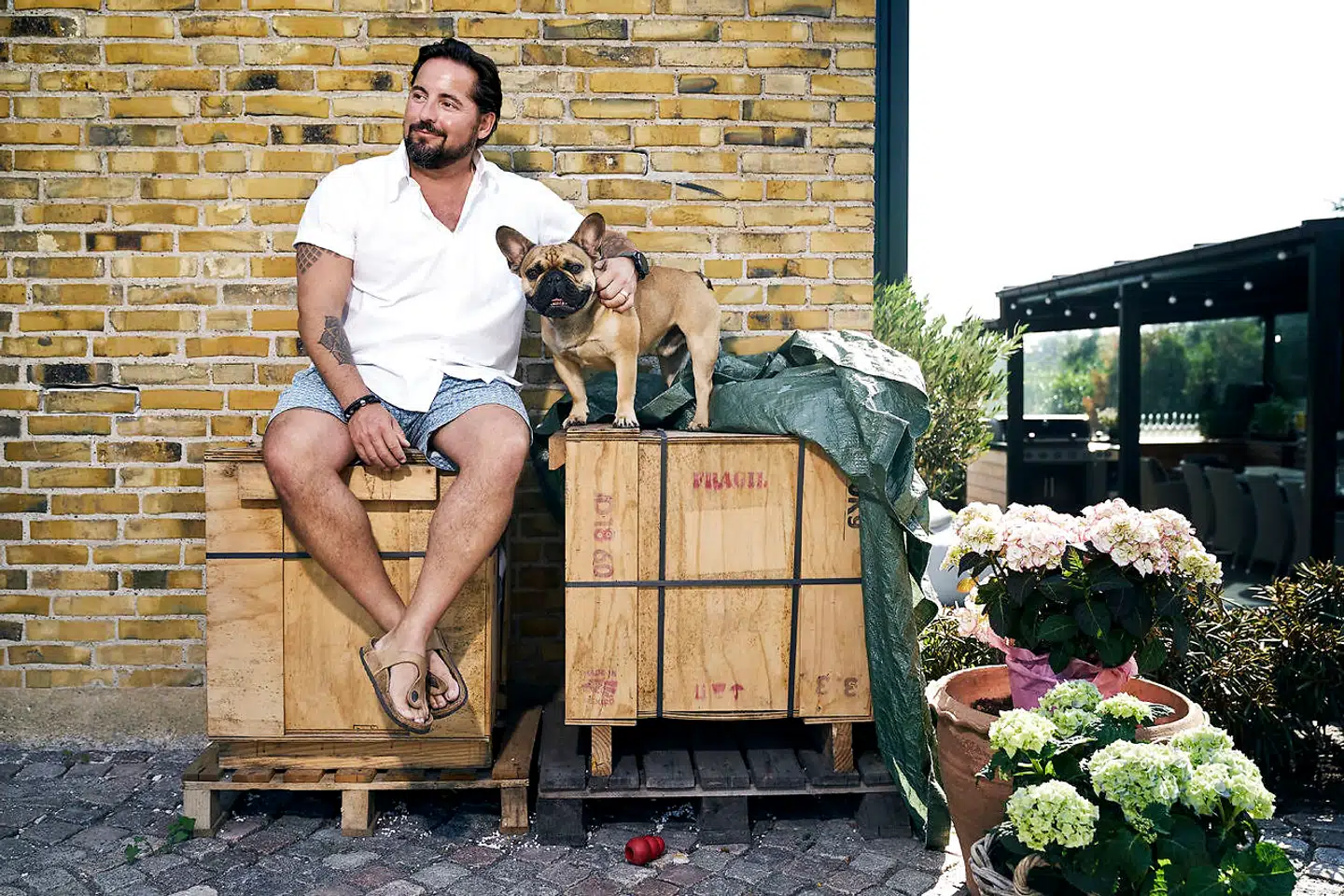 Gallerist Hans Alf og den franske bulldog Napoleon sidder på et par kasser, der rummer delkomponenterne til en ny skulptur på samlet 900 kilo, som Alf netop har købt til sin have.