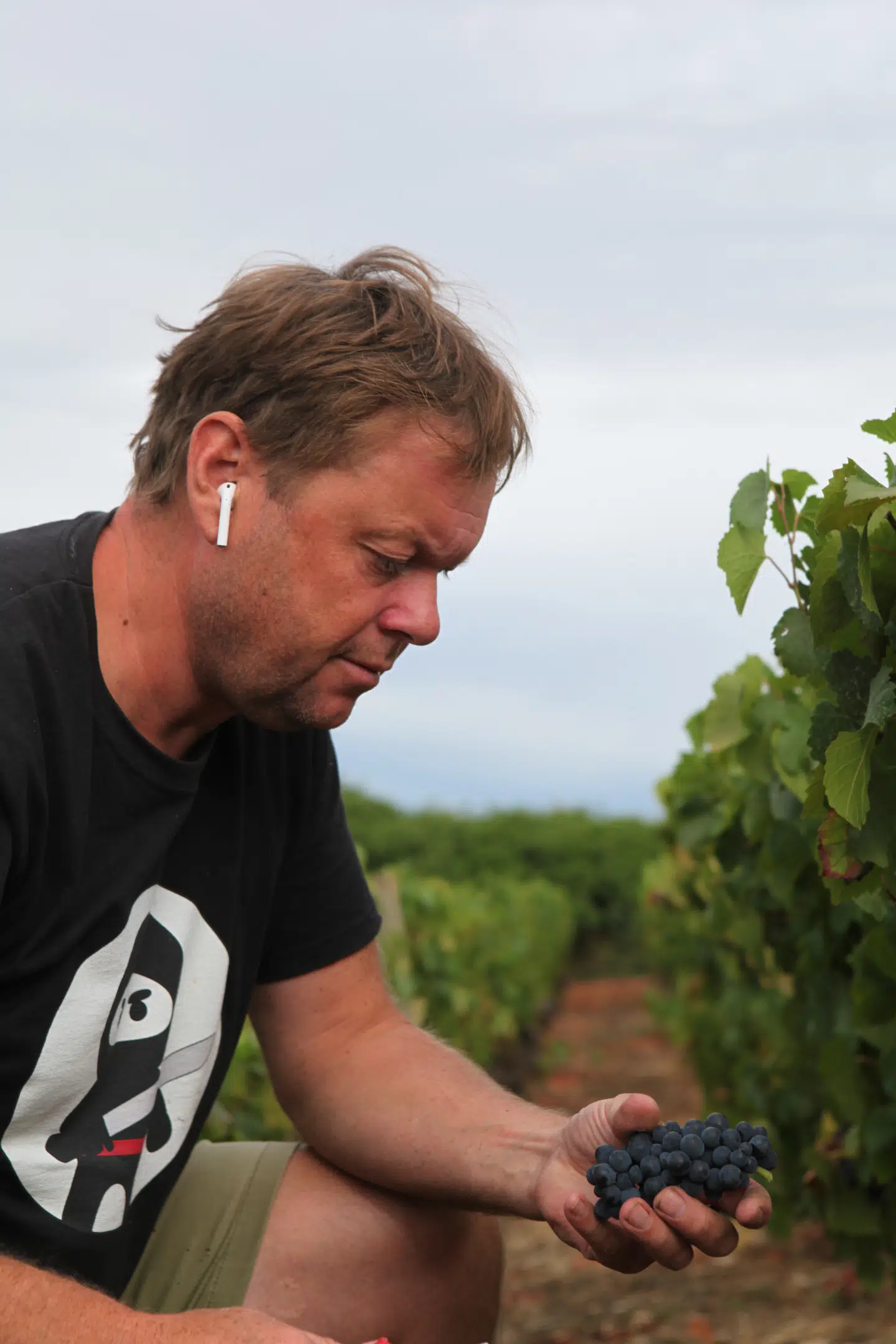 Der er ingen nerver på, når Dam høster – højst lidt morgenhår.