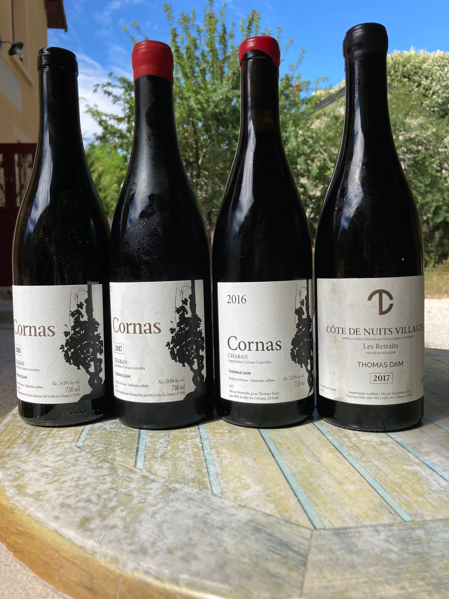 Vi smagte Thomas Dams vine på en lokal vinbar.