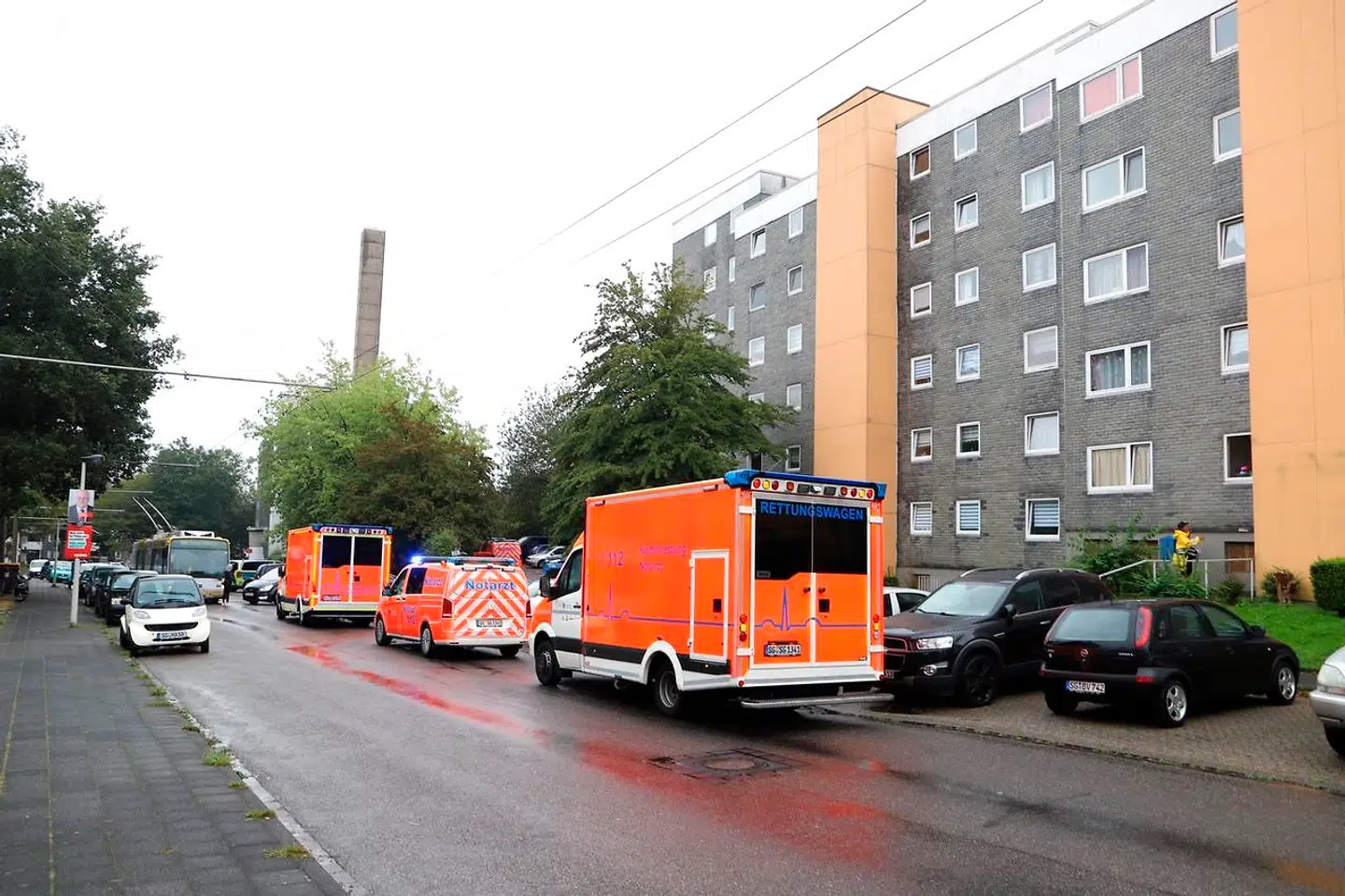 Tysk politi har fundet ligene af fem børn i en lejlighed i den vestlige by Solingen.