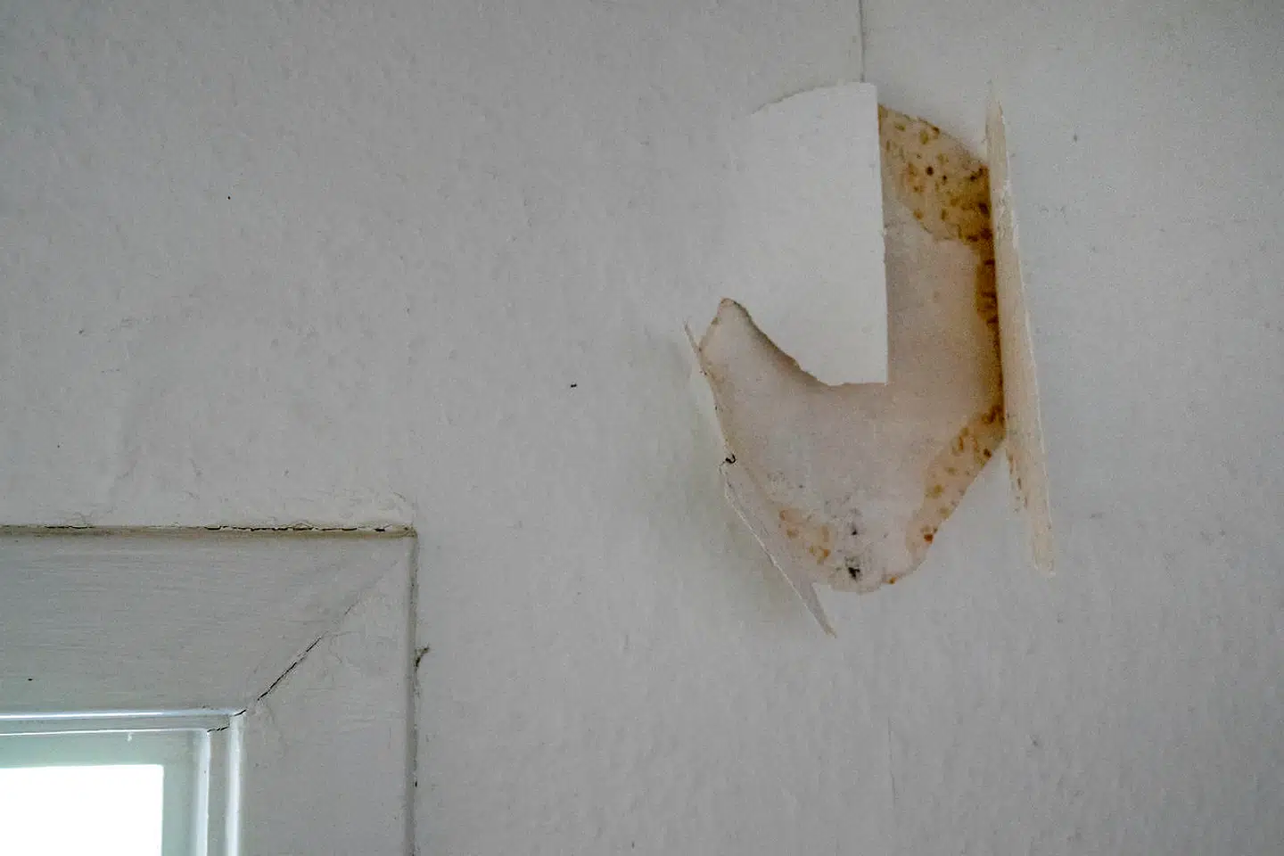 Sådan ser væggen ud bag lejer Rikke Larsens tapet.