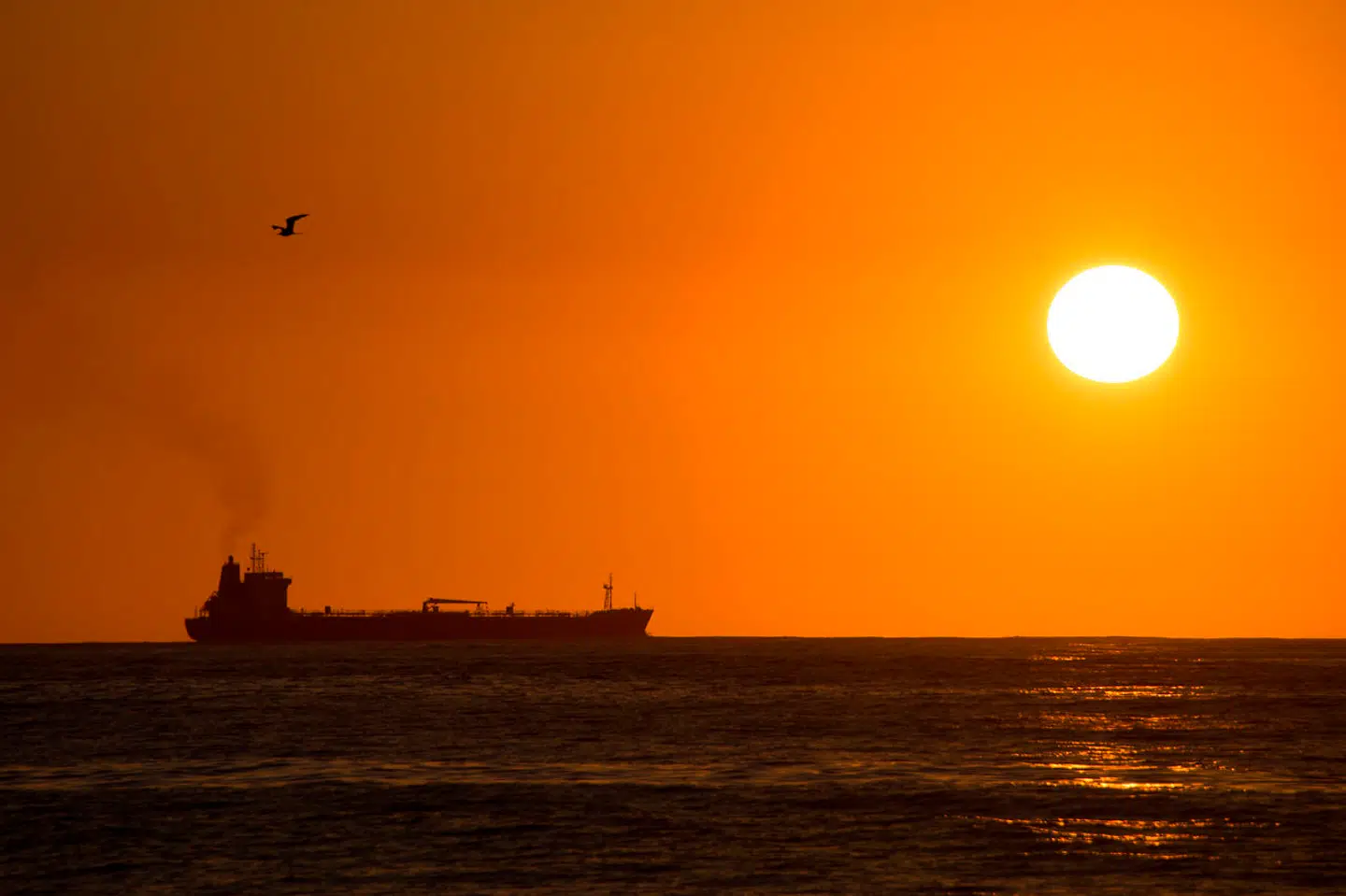 Brasiliansk politi mener, at en tidligere Mærsk-direktør ulovligt har beriget sig selv i forbindelse med en række kontrakter om transport af olie, som blev indgået med det brasilianske statsselskab Petrobras.